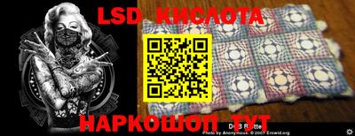 прущие грибы Партизанск