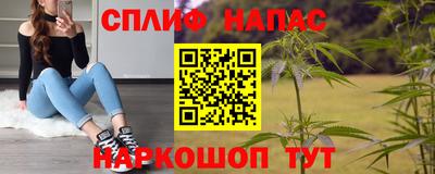 прущие грибы Партизанск