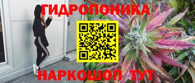 прущие грибы Партизанск