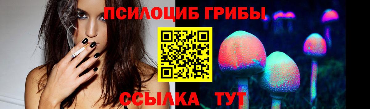Галлюциногенные грибы мицелий Томск